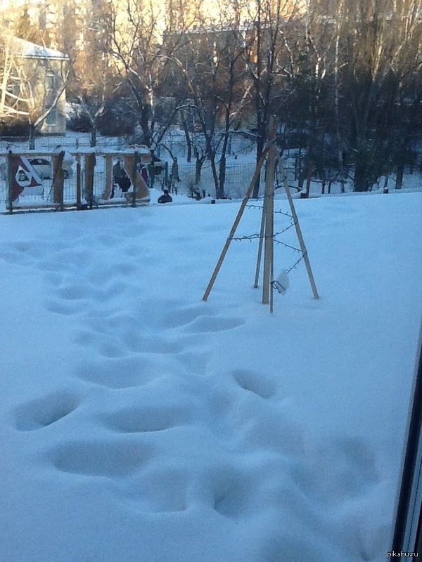 Нарядная ёлочка