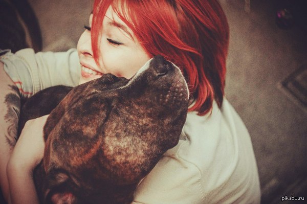 Добрый собакен