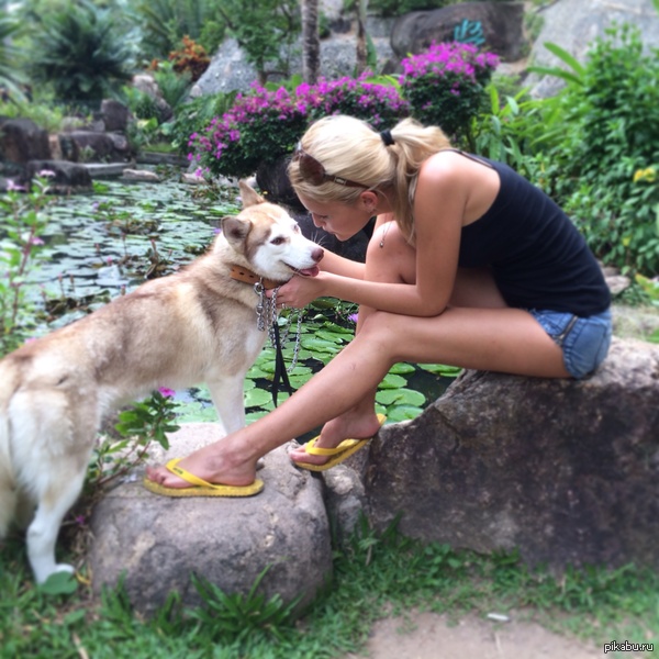 Где бы мы не были, мы всегда ездим с нашими собаками.