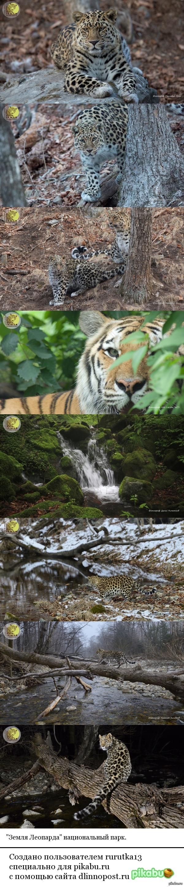 �� ����� ���� ���������������� �������� � ��������� ������� (���� �� ���)