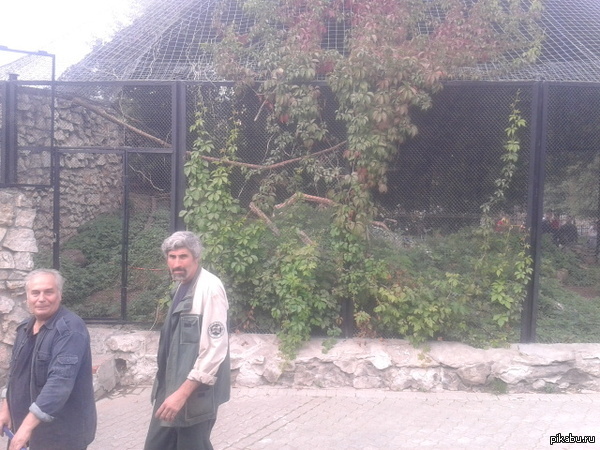 ���� ������ ���� �� ������ � ������� �������� � �������