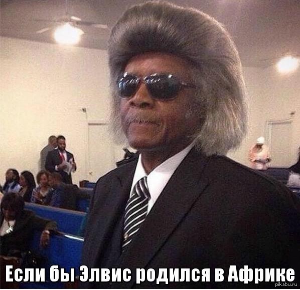 Если бы Элвис родился в Африке..) | Пикабу