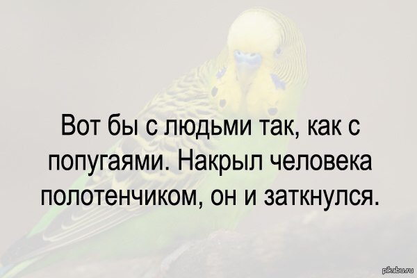 Мечты. | Пикабу