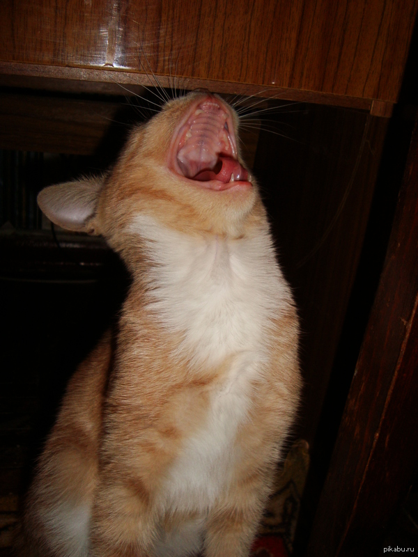 ��� ���� =*