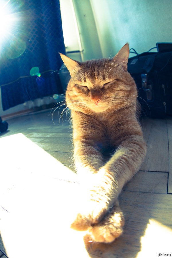 ��� ������� ������ ������, �� � �� ����� �������� ����������.