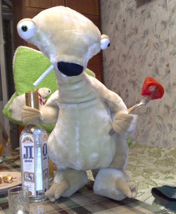 После очередной пьянки дома обнаружился новый питомец))