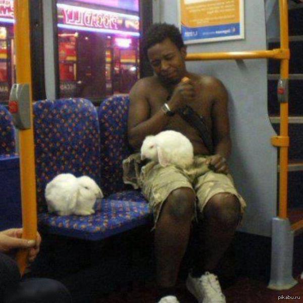 ���� �����-����� �������� .