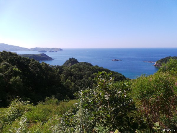 И природа все ещё лучше политики.