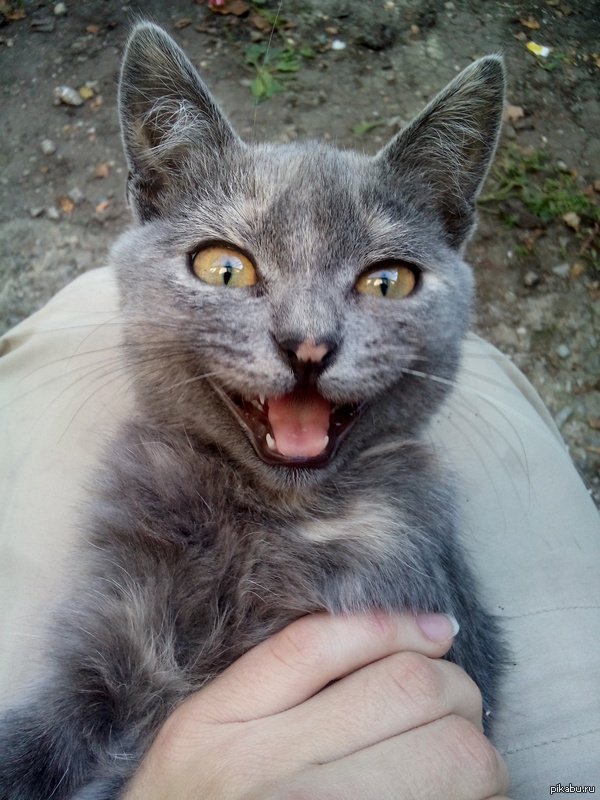 ���� ������ =)