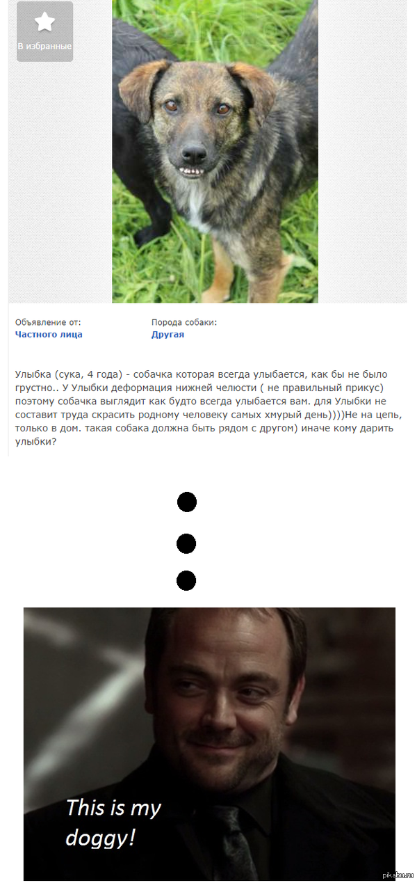 собачка Кроули