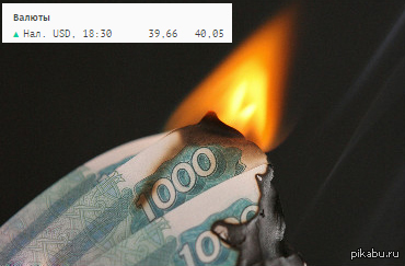 Куда летит эта стая птиц? К еб**ям, все летит к еб**ям.