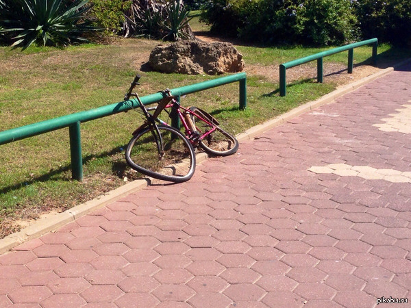 I found Salvador Dali's bike - A bike, Salvadora Dali