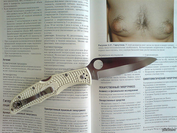 Spyderco Endura - NSFW, Моё, Сиськи, Нож, Spyderco, Эротика