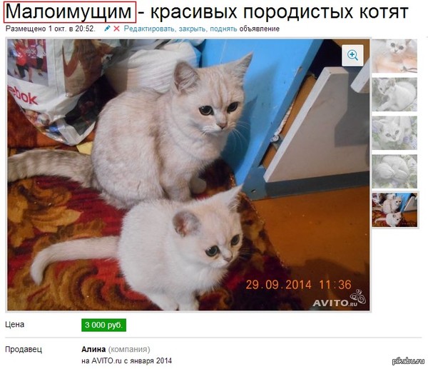 Это что вообще?