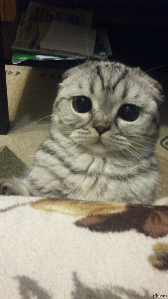 ���� ����� � ����� ������, ��� � ����� ������� :3