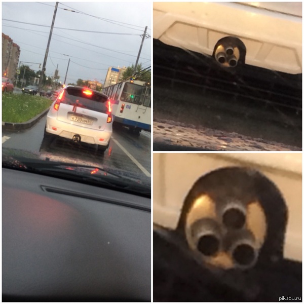 ����� ������ ������ �����