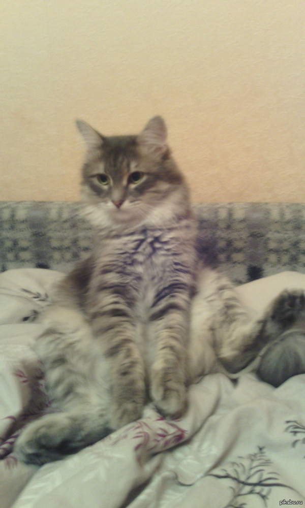 � ���� ��� ��������..��� ��� �������������?