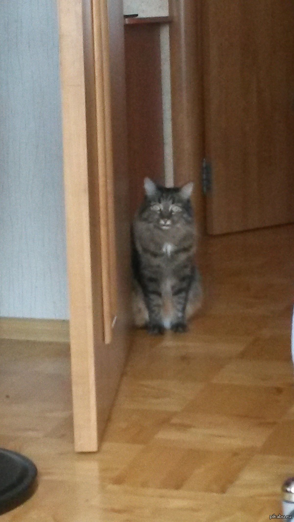 ��� ������ ��� ��� �����