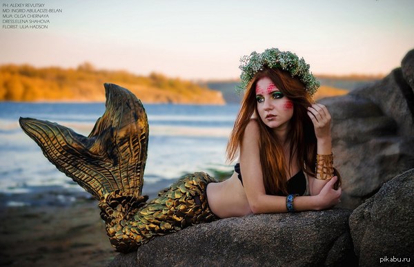 ����� �������