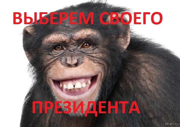 Обезьянка улыбается