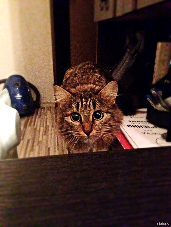 �� ��������� �������