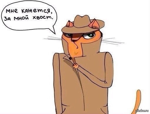 ������ ���