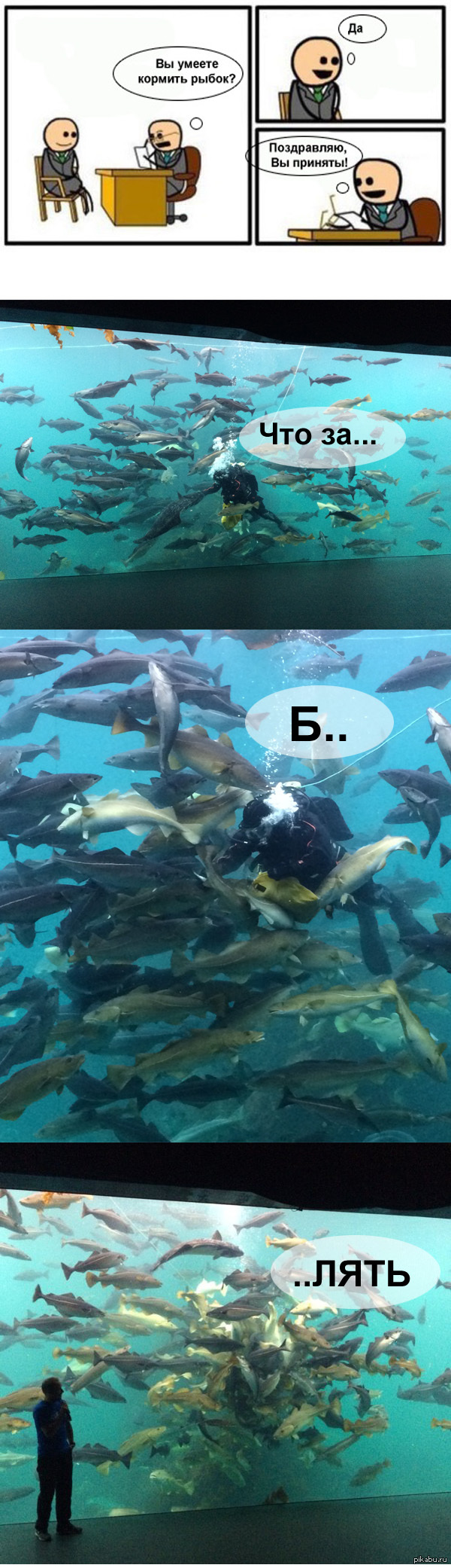 ������� ���������� � ��������. ����� ������������� ����� �������..