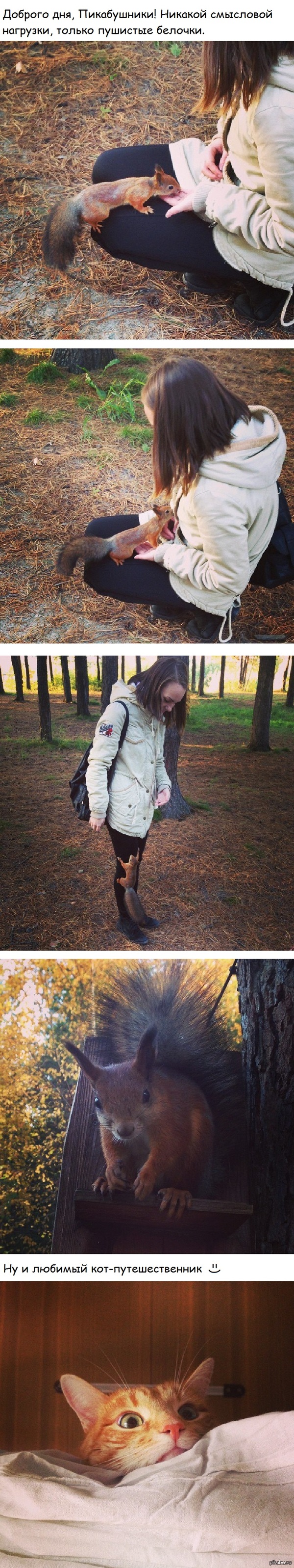 ������� �����