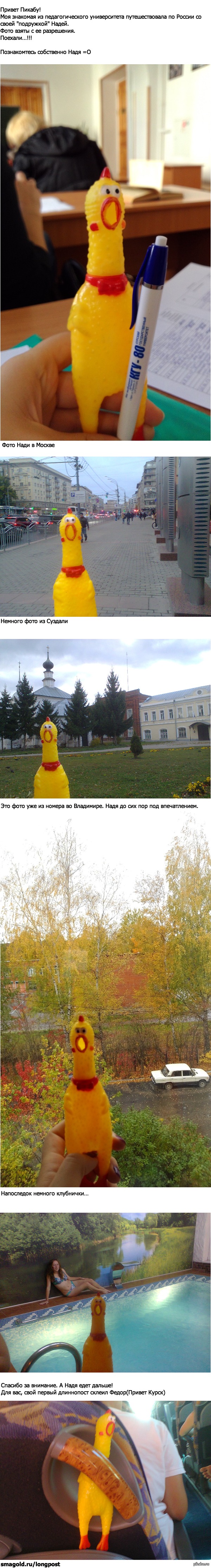 ������� ���������������