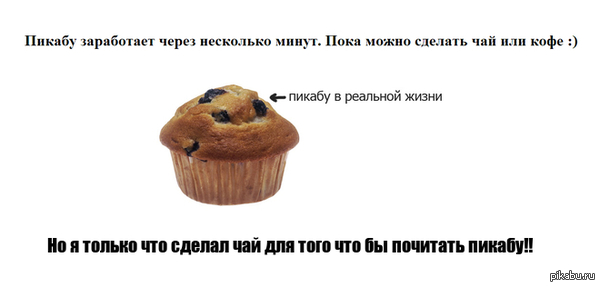 � ������ �� ��� �����