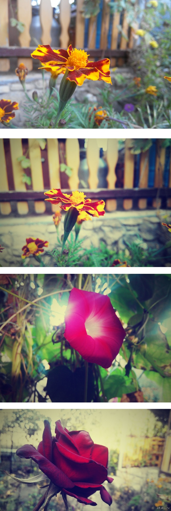 фото на телефон