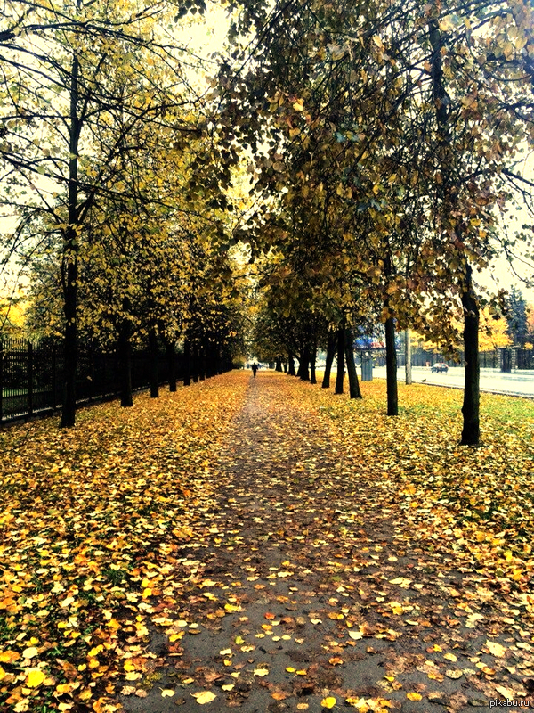 Прекрасная осень в Санкт-Петербурге