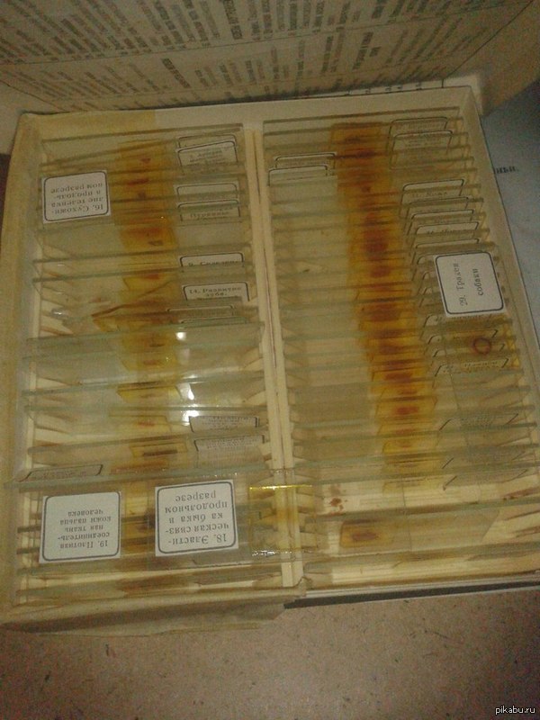 ����� � ��� � �������� ��������