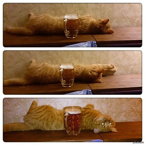 ����� "����������������" (������ ������� ������:)