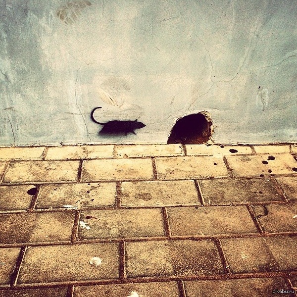 2D ���� ������ � ���� 3D ���