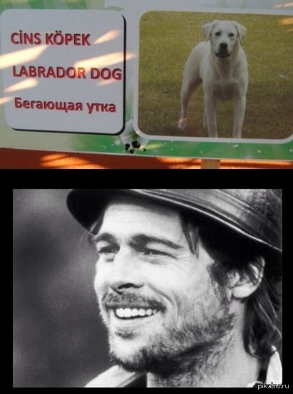 ��������� ������� ��� ��-��������