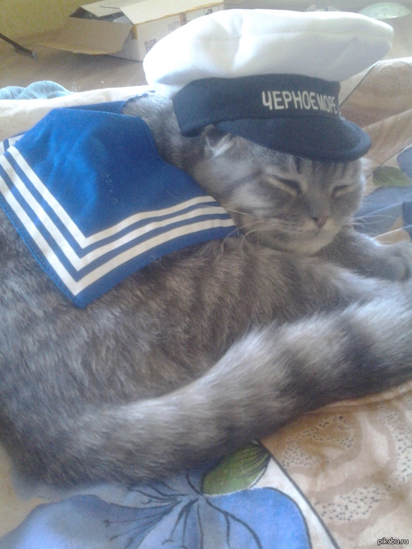 �����, ����� ������ �� ��������?