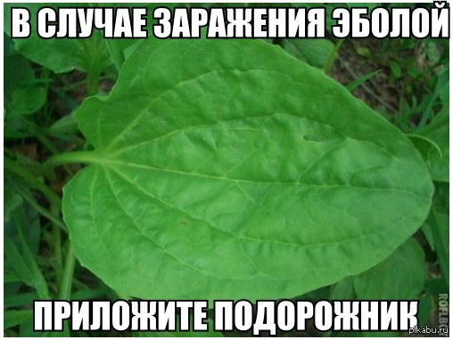 ���� ���� �������� �����