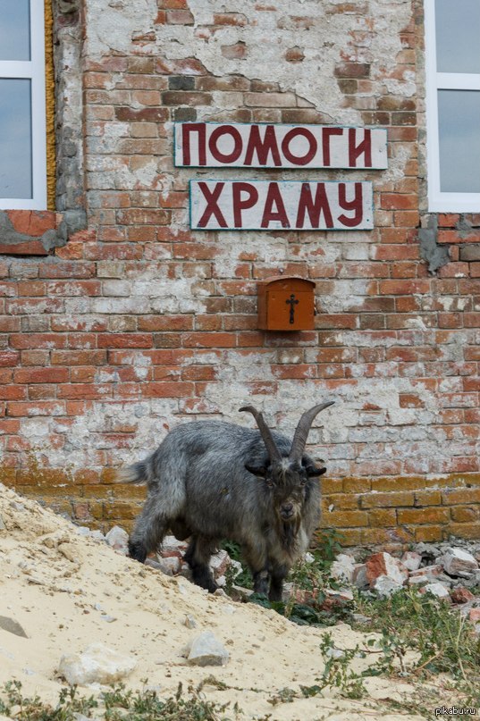 ������ �����... ������ �����, �..��!