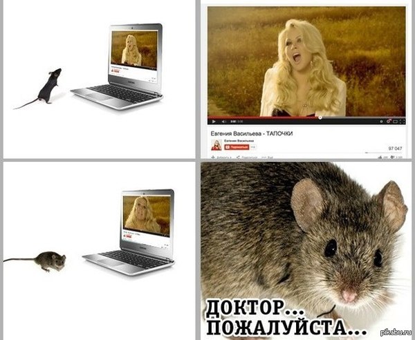 ������� ��������� ������� ������������ � �����, ����� ���������. ����� �������.