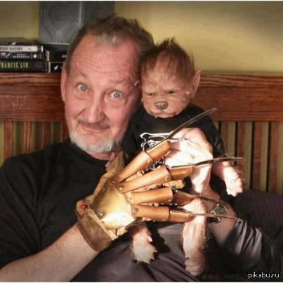 роберт инглунд