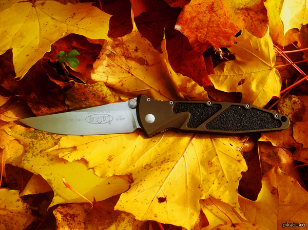     . Microtech SOCOM Elite, S\E.