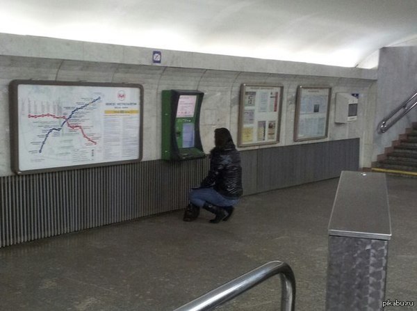 ׸���� ��������