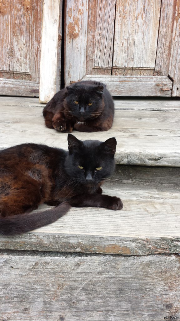 Враг не пройдёт