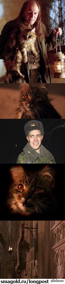 Тайная комната снова открыта.