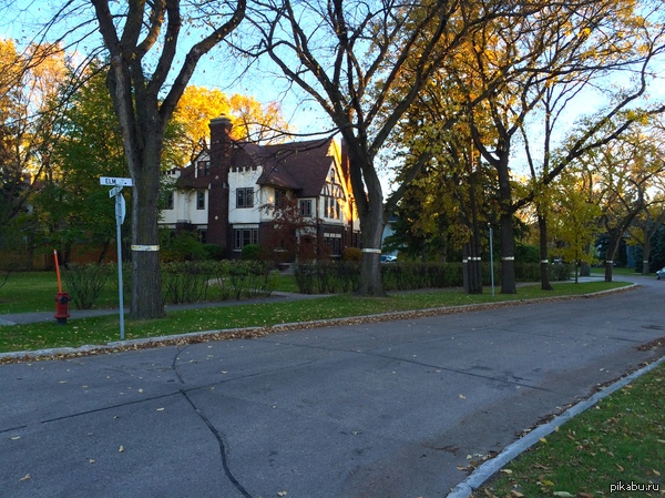 Знаменитая улица Вязов :)