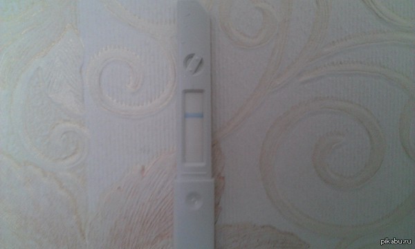 ����� �������� �����