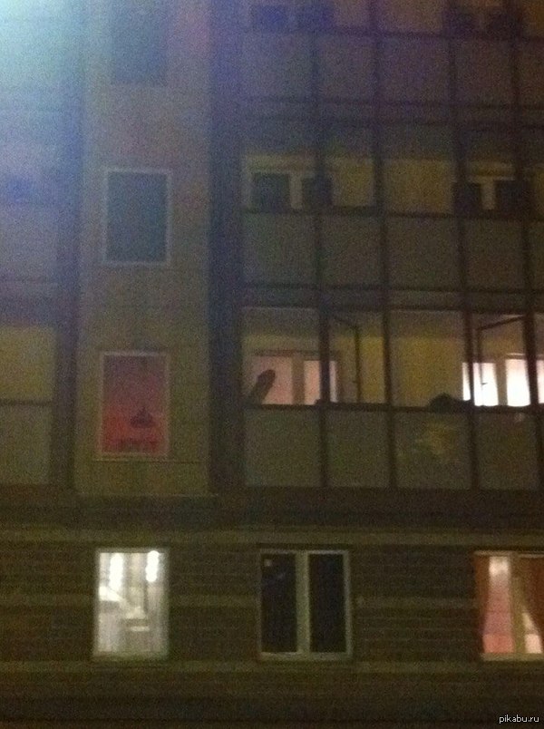 ��� ������ ���� �� �������� �� ������)