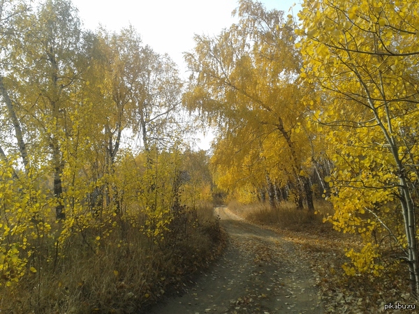 ������� ������.