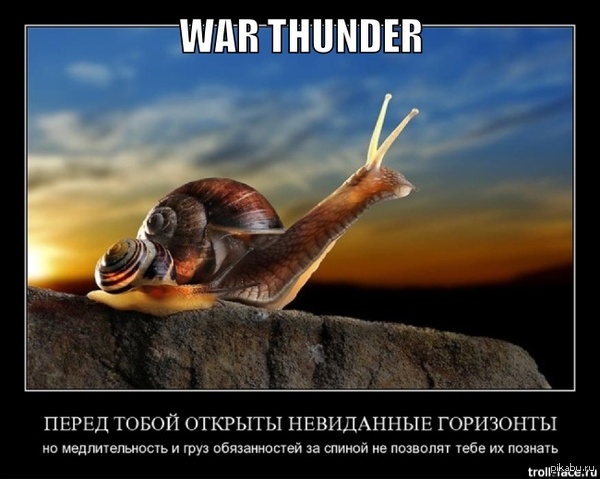     War Thunder  ? 